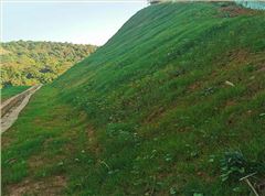 常德市鼎城区石板滩镇石煤矿区伍房石煤矿（防治I区）生态环境修复工程