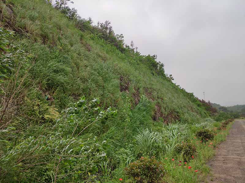 江西彭泽县马当镇子矶头废弃矿山生态环境恢复治理工程项目