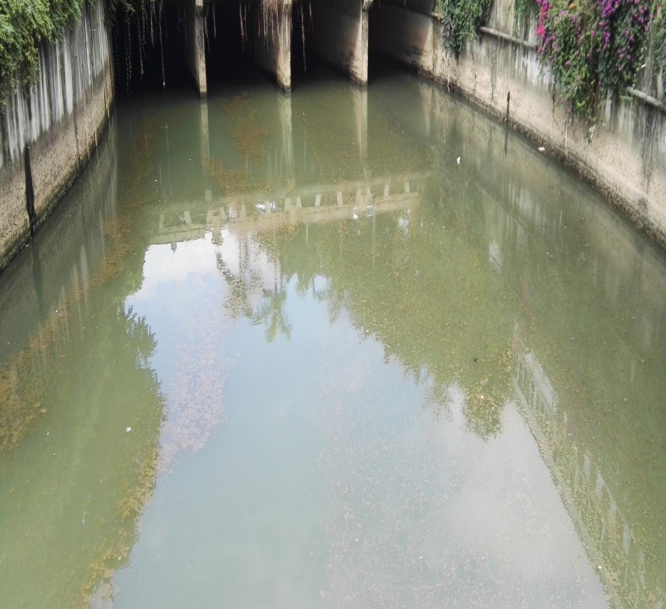 深圳市新洲河众浮小学段河道生态修复治理