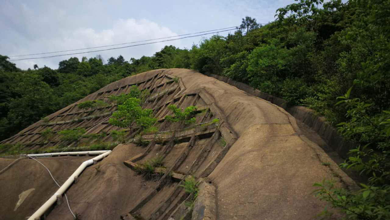 醴陵市国土资源局后山护坡生态覆绿项目