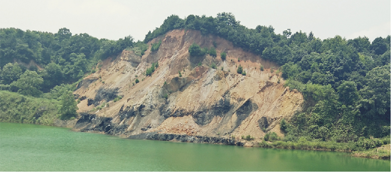 常德市鼎城区石板滩镇石煤矿区伍房石煤矿（防治I区）生态环境修复工程