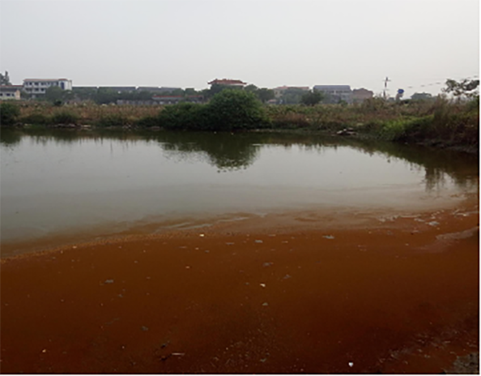 衡阳县蒸水流域山水林田湖草生态保护修复工程试点项目